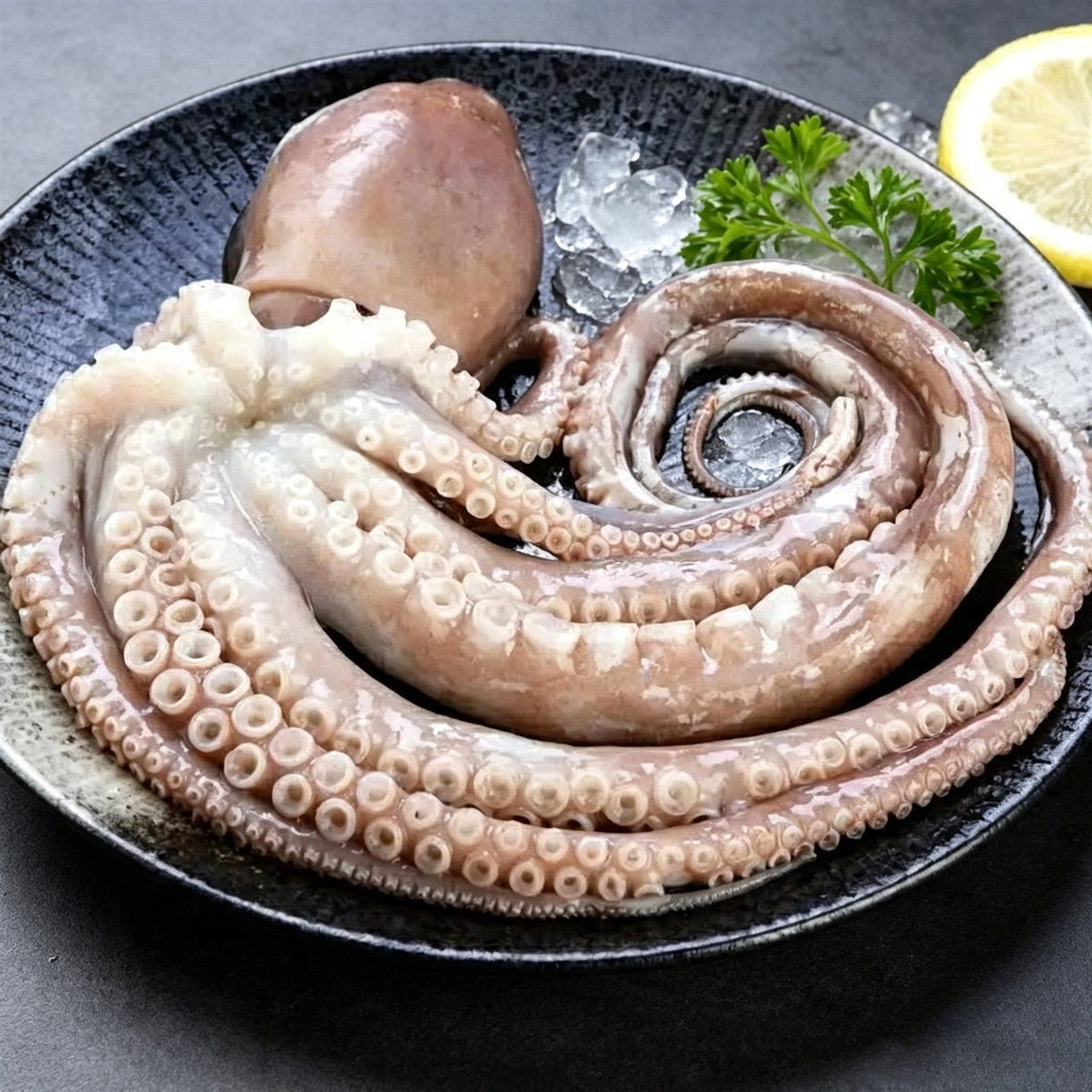Octopus & Squid